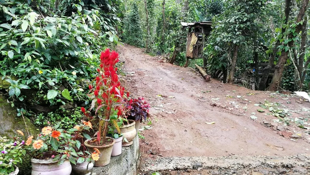 Best Kerala Homestay Kattappana